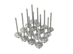 Skunk2 Racing 310-05-1555