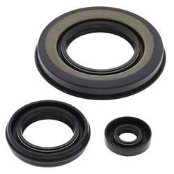 Vertex Pistons 55198