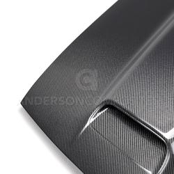 Anderson Composites AC-HD19DGCHHC-RE