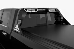 Road Armor 4091DHRP-C2-MR