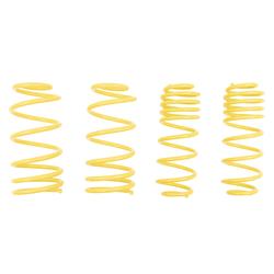 ST Suspensions 66205