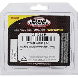 Pivot Works 25-1313-P