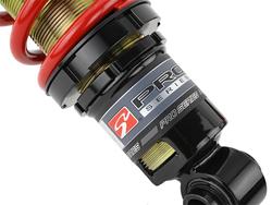 Skunk2 Racing 541-10-1200