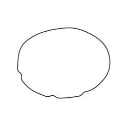 Athena S410060008015