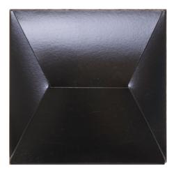 AEM Induction 21-2049BF