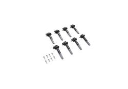 Ford Racing M-6026-BOSS50