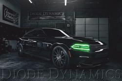 Diode Dynamics DD2003