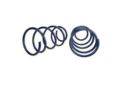 Ford Racing M-5300-RA