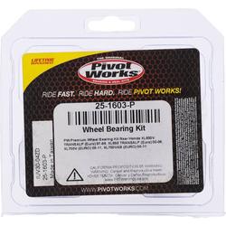 Pivot Works 25-1603-P