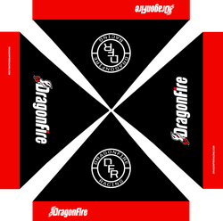 DragonFire Racing 155354