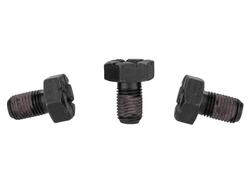 Ford Racing M-4216-A300