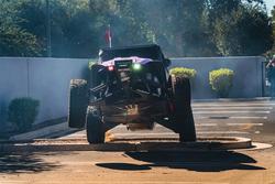 Rigid Industries 36117-SHREDDY