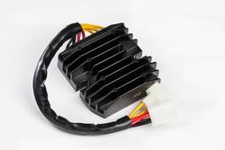 Ricks Motorsport Electrics 10-024H