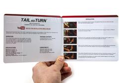 Diode Dynamics DD3011