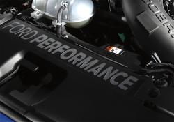 Ford Racing M-8291-FP