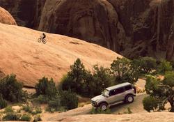 Ford Racing M-1007K-M1785W