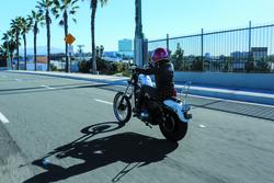 Burly Brand B13-1503C