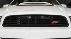 Roush 421392