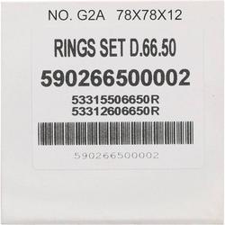 Vertex Pistons 590266500002