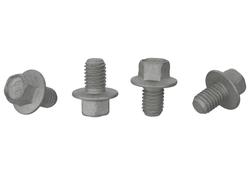 Ford Racing M-20045-MSVT