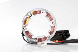 Ricks Motorsport Electrics 99-101