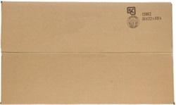 AEM Induction 21-781DS