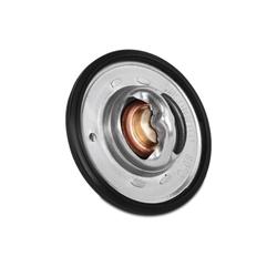 Mishimoto MMTS-NIS-02L