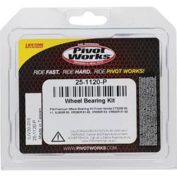 Pivot Works 25-1120-P