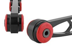 Skunk2 Racing 542-05-2195