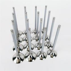 Skunk2 Racing 310-05-1400