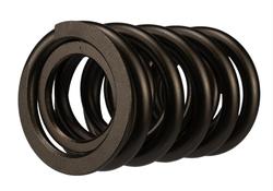 Ford Racing M-6513-17348