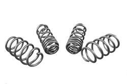 Whiteline GS1-VWN002