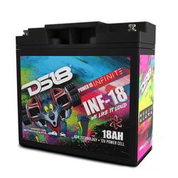 DS18 INF-18