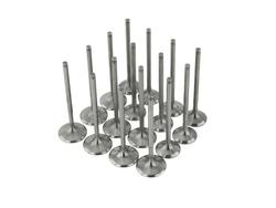 Skunk2 Racing 310-05-9310