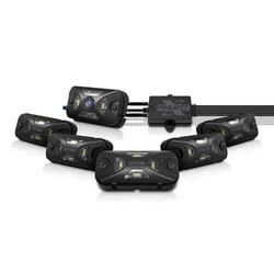 Project X LM538818-1