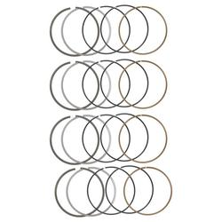 Manley Performance 461000dt-4