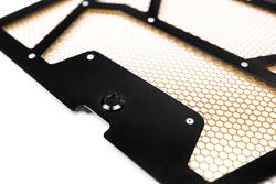 Agency Power AP-RZR-111-FGB-MOR