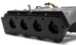 Skunk2 Racing 307-05-0305