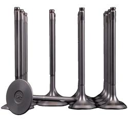 Skunk2 Racing 310-05-9535