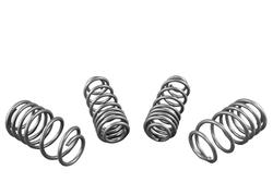 Whiteline GS1-VWN006