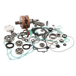 Vertex Pistons WR101-219