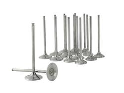 Skunk2 Racing 310-05-9310