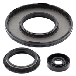 Vertex Pistons 55229