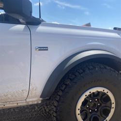 Ford Racing M-1447-GOAT