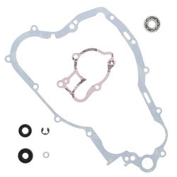 Vertex Pistons 821670