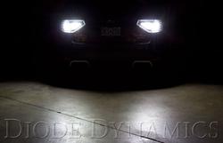 Diode Dynamics DD3010