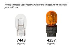 Diode Dynamics DD0462P