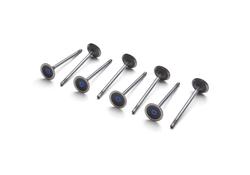 Ford Racing M-6505-M52