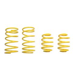 ST Suspensions 65202