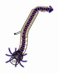 AEM Induction 24-6110C